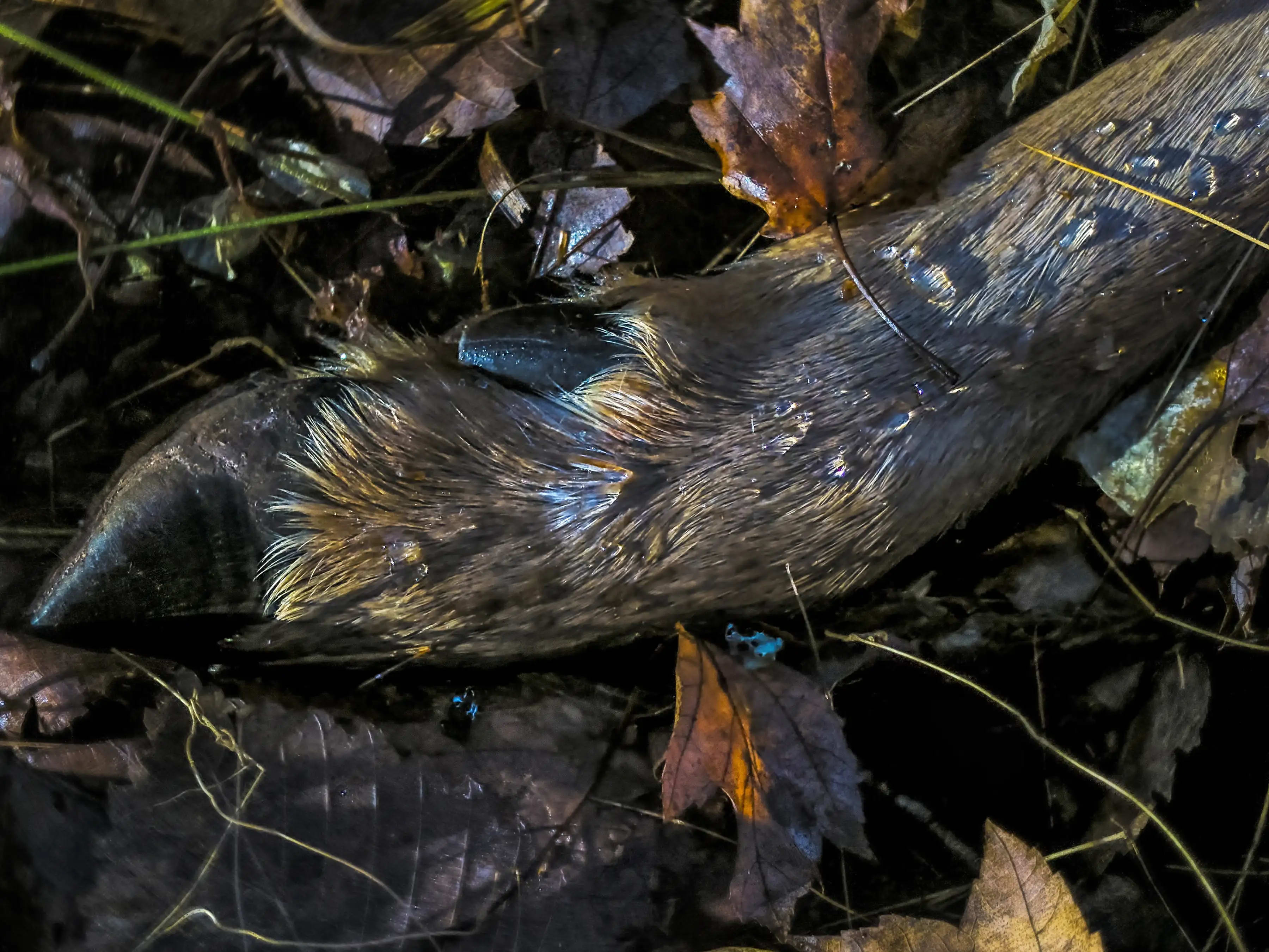 Photography project by Jerry Lofaro