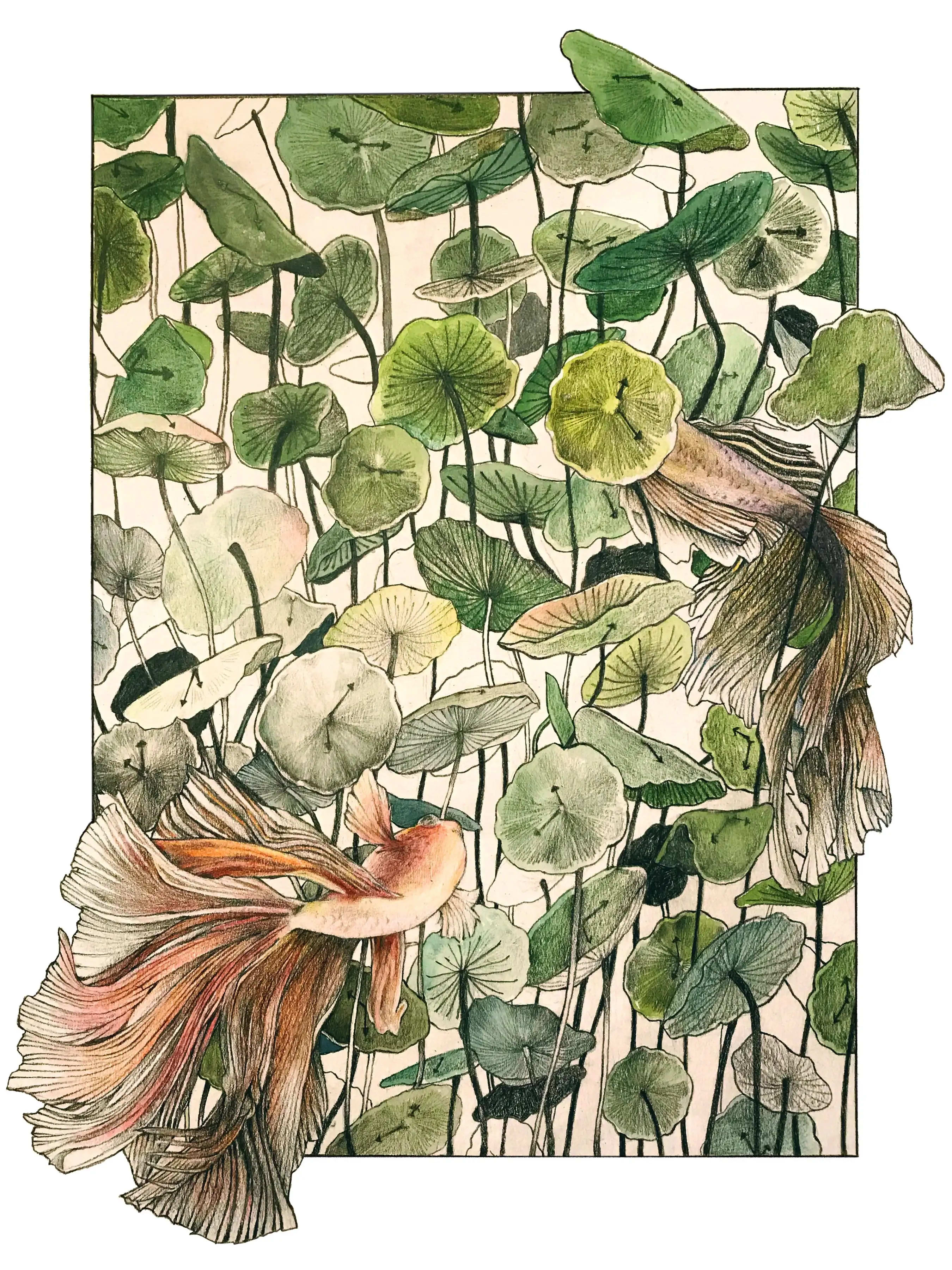 Illustration project by Zitong Zheng