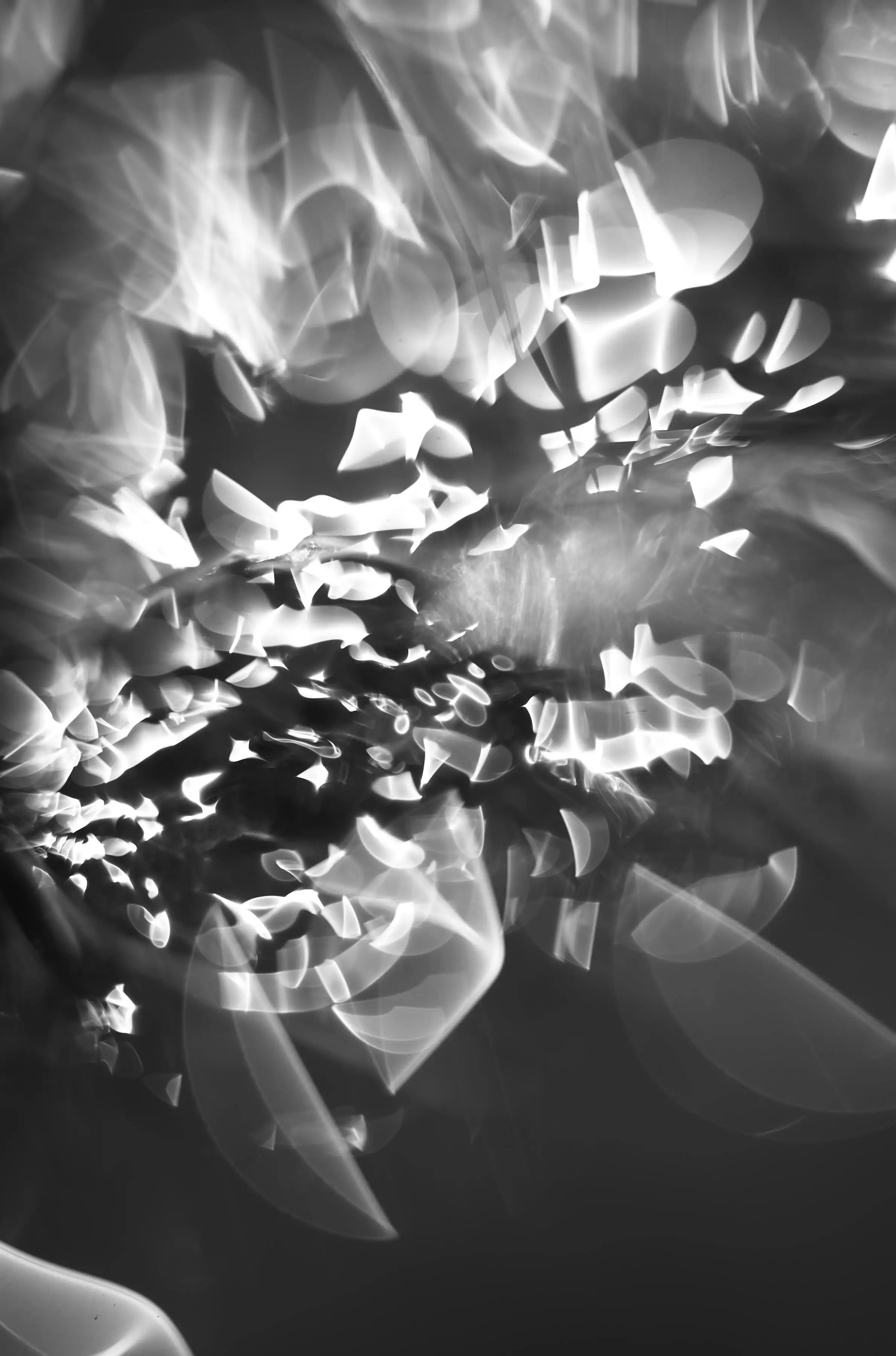 Photography project by Eliott Jule Peacock