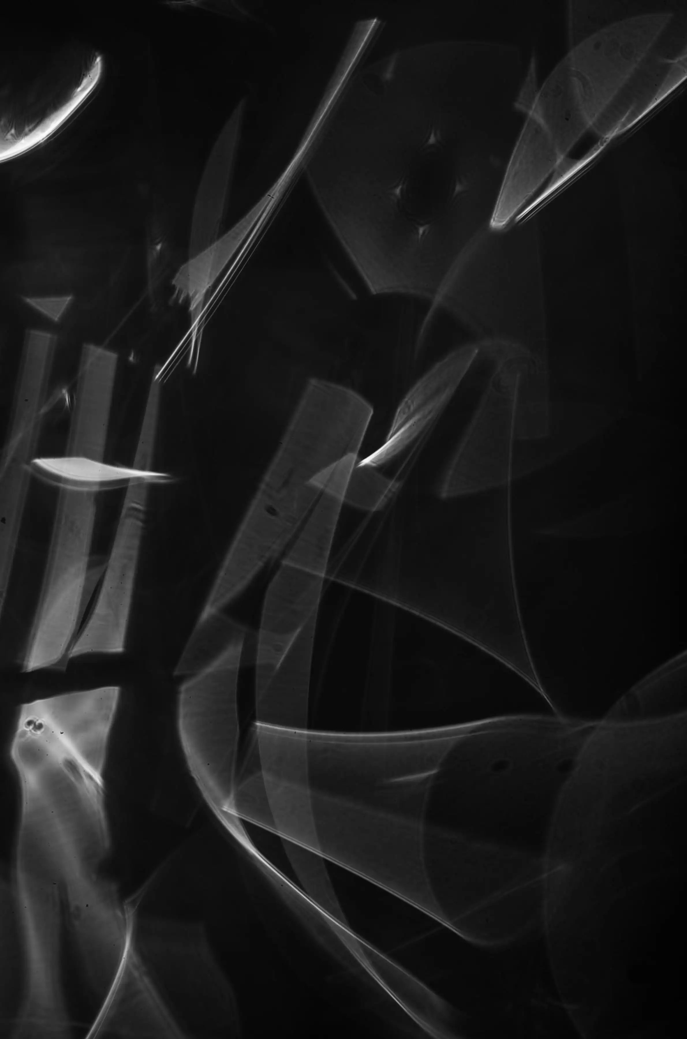 Photography project by Eliott Jule Peacock