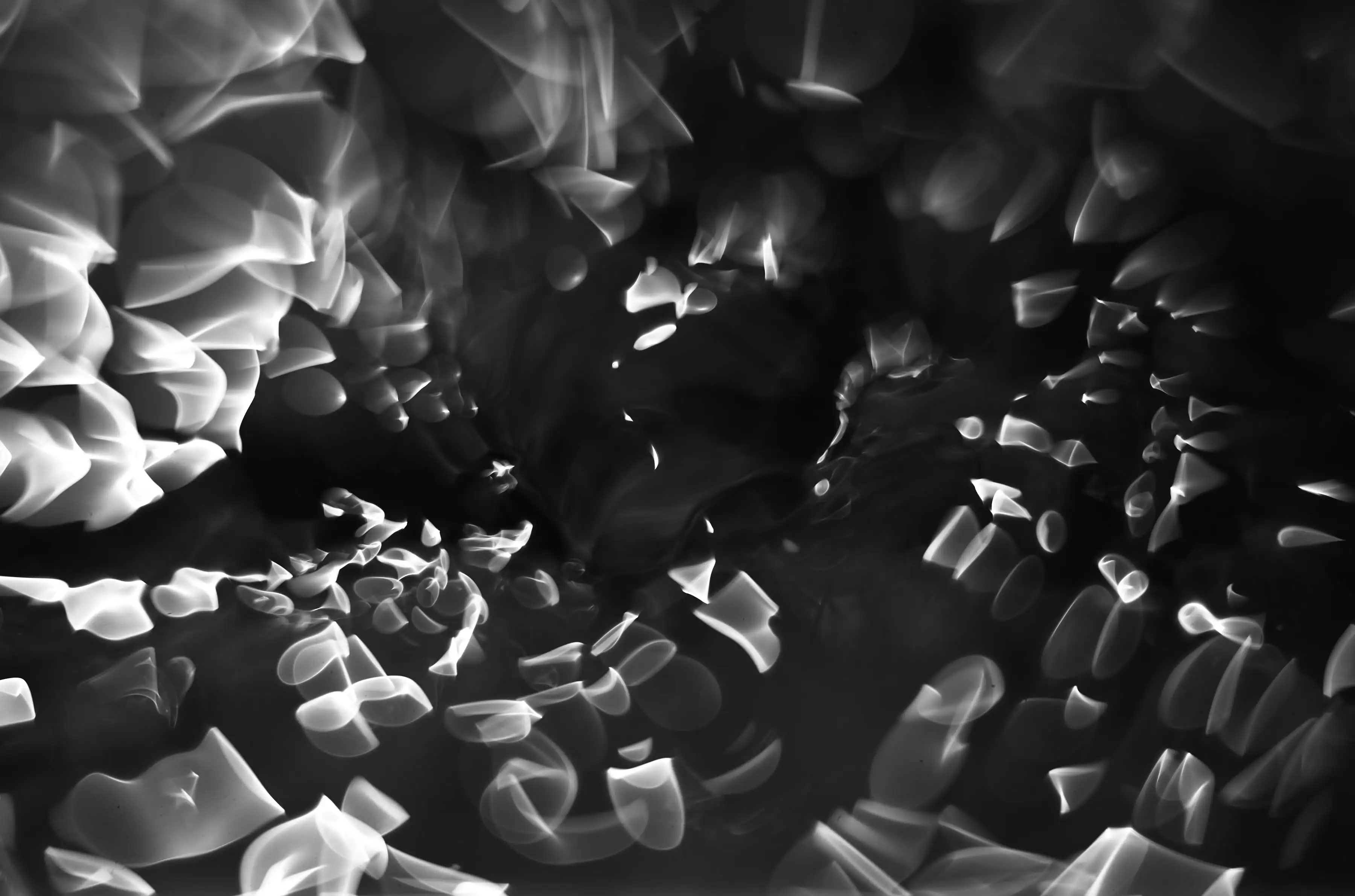 Photography project by Eliott Jule Peacock