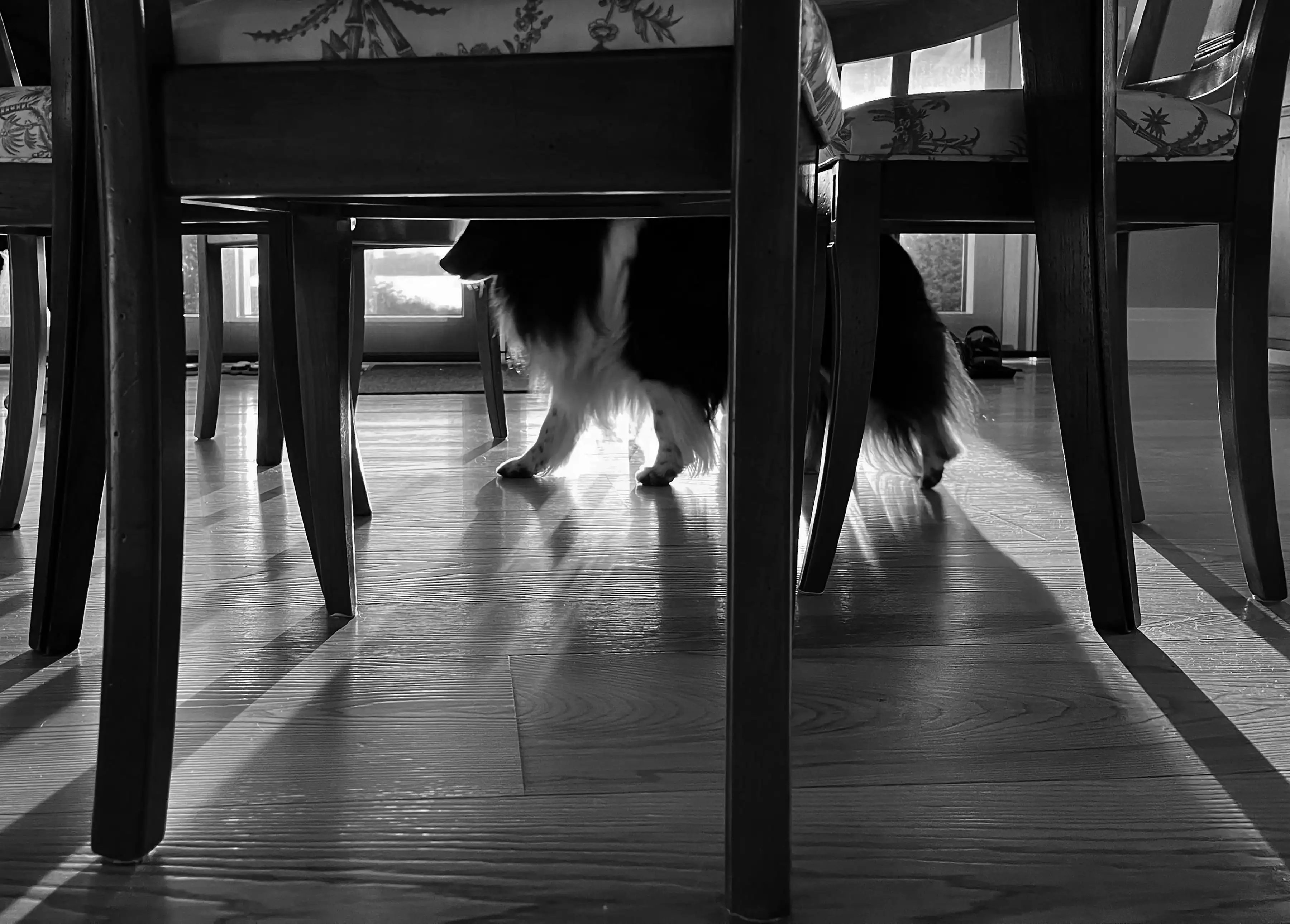 Photography project by Karin Forde Whittemore