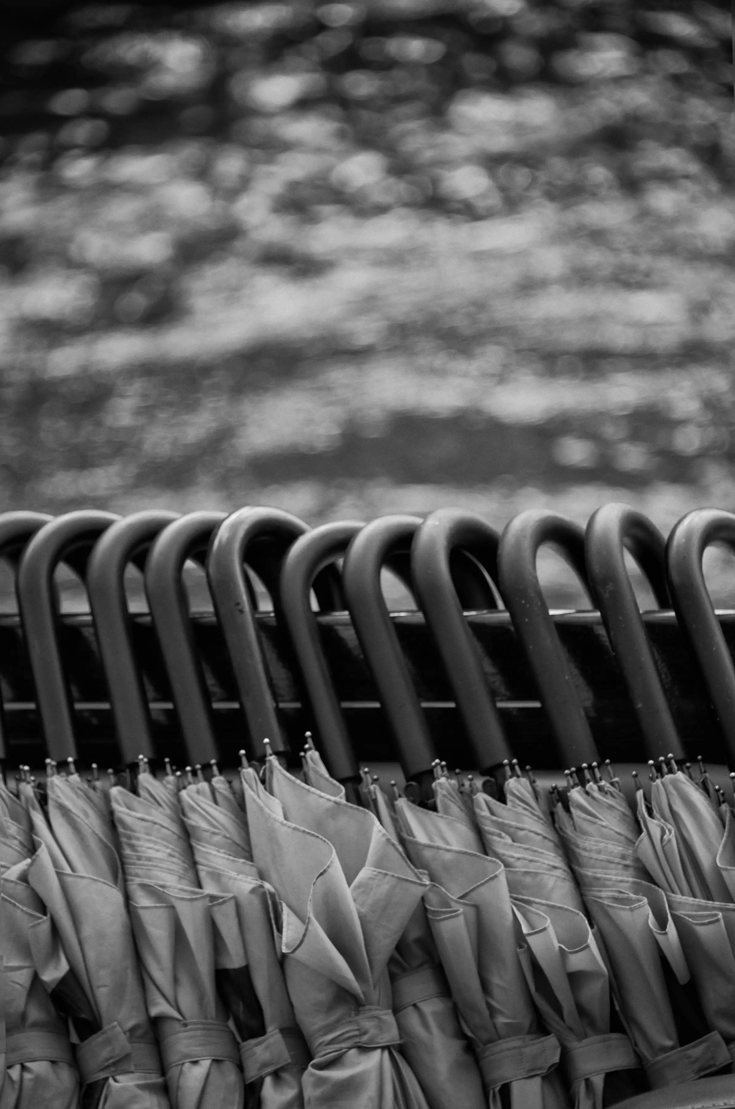 Photography project by Karin Forde Whittemore