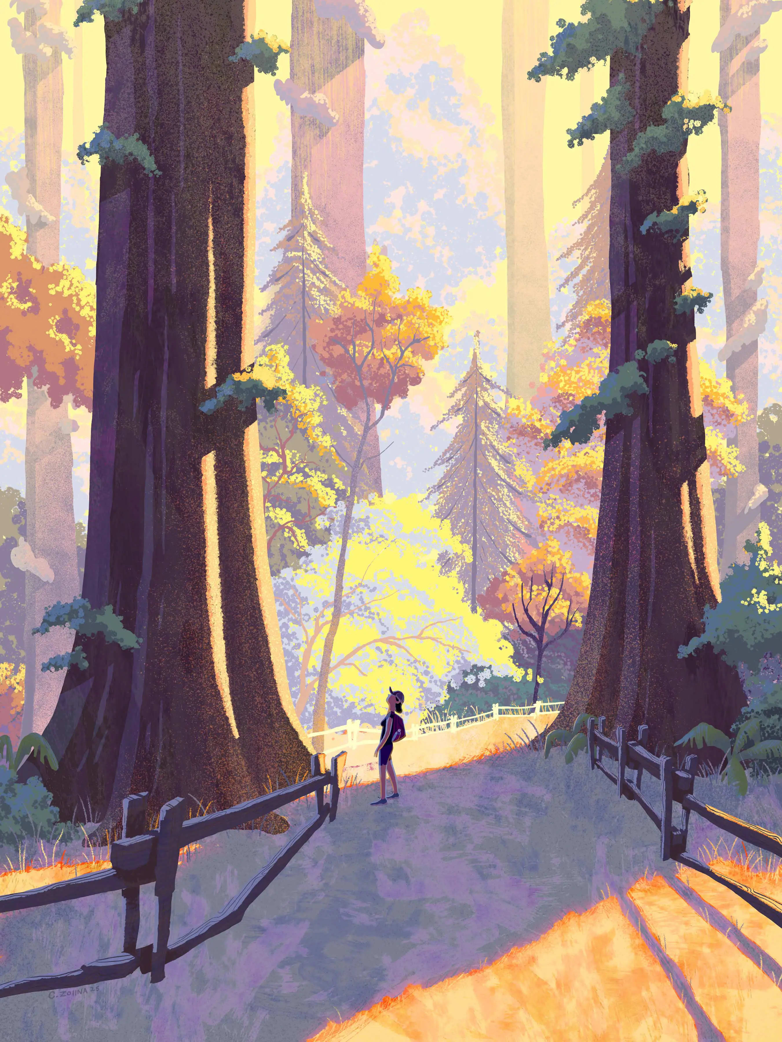 Illustration project by Chris Zollna