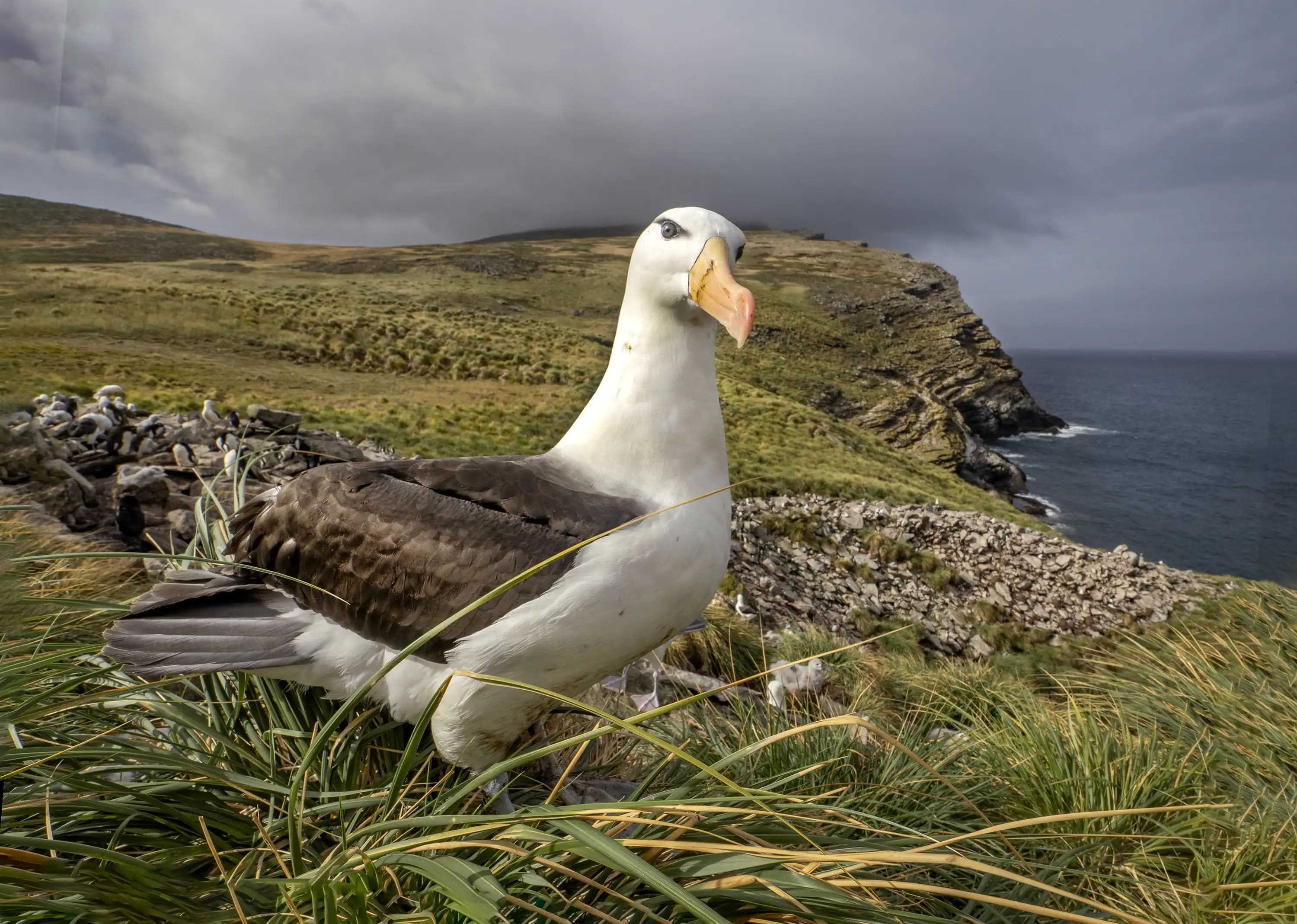 Photography project by Jay Dickman