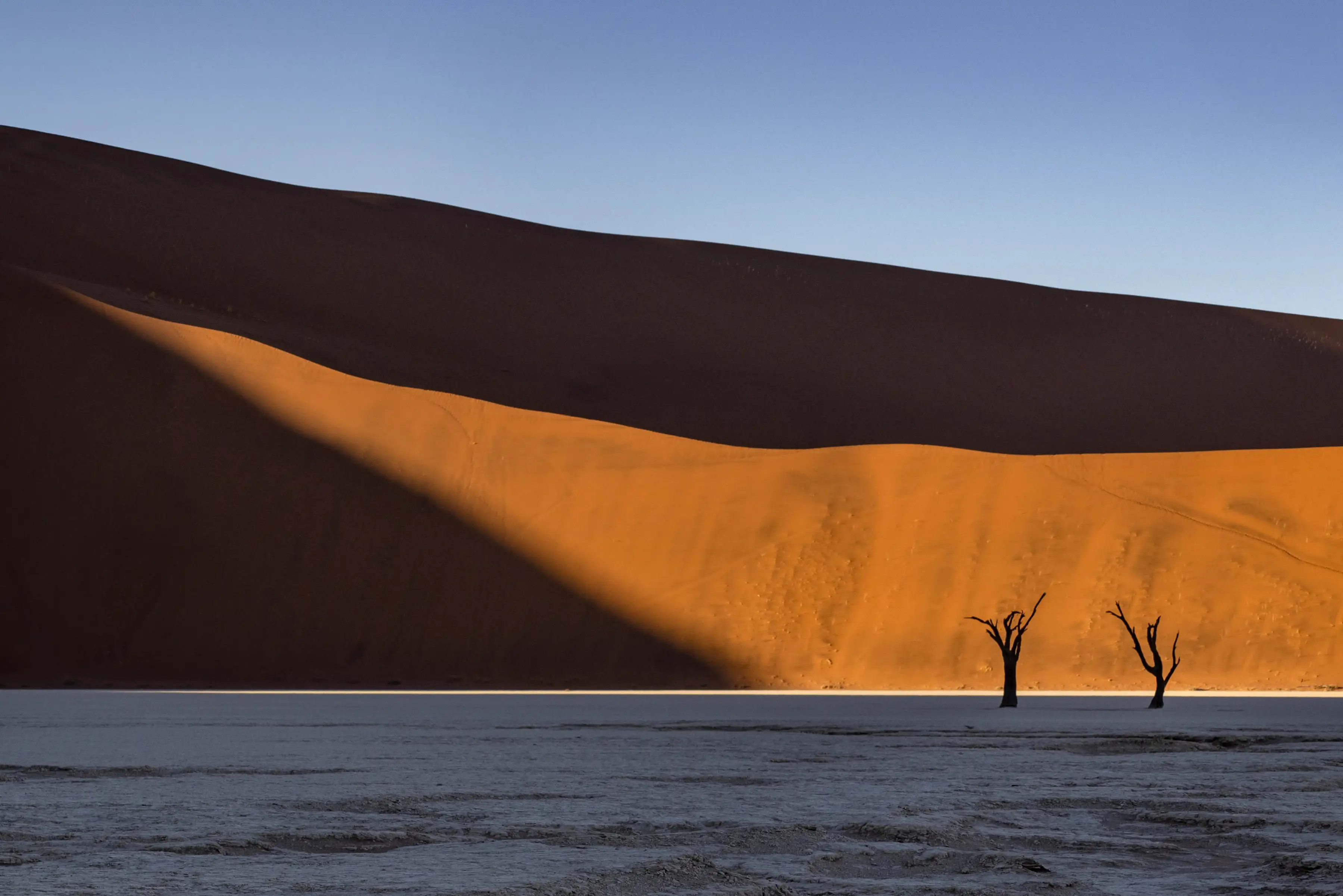 Photography project by Jay Dickman