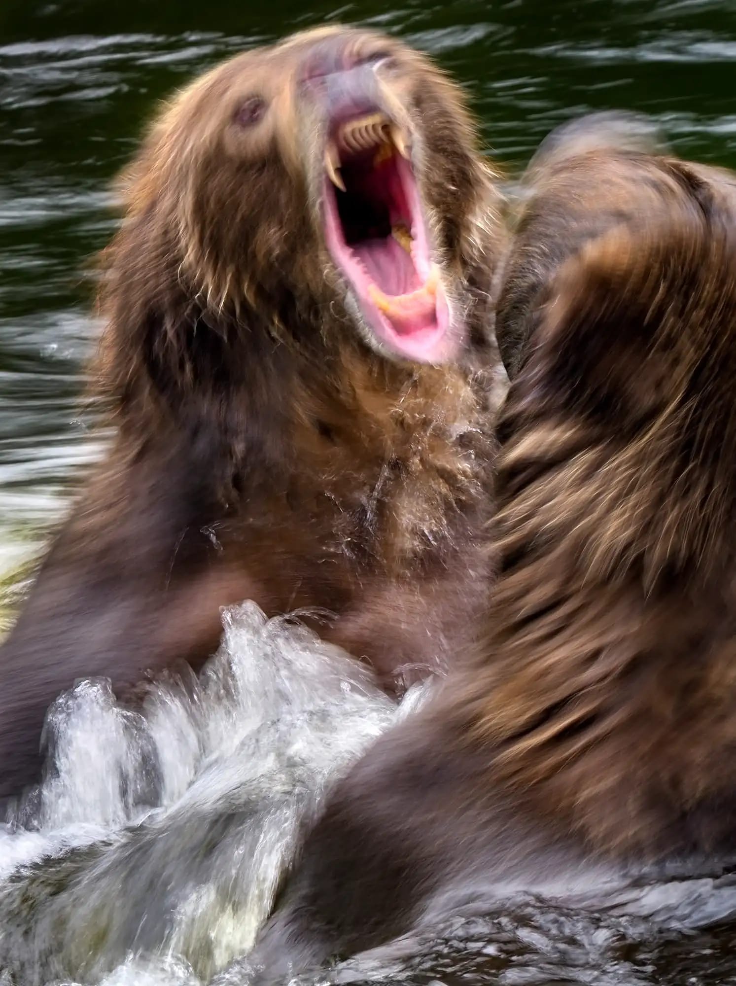 Photography project by Jay Dickman