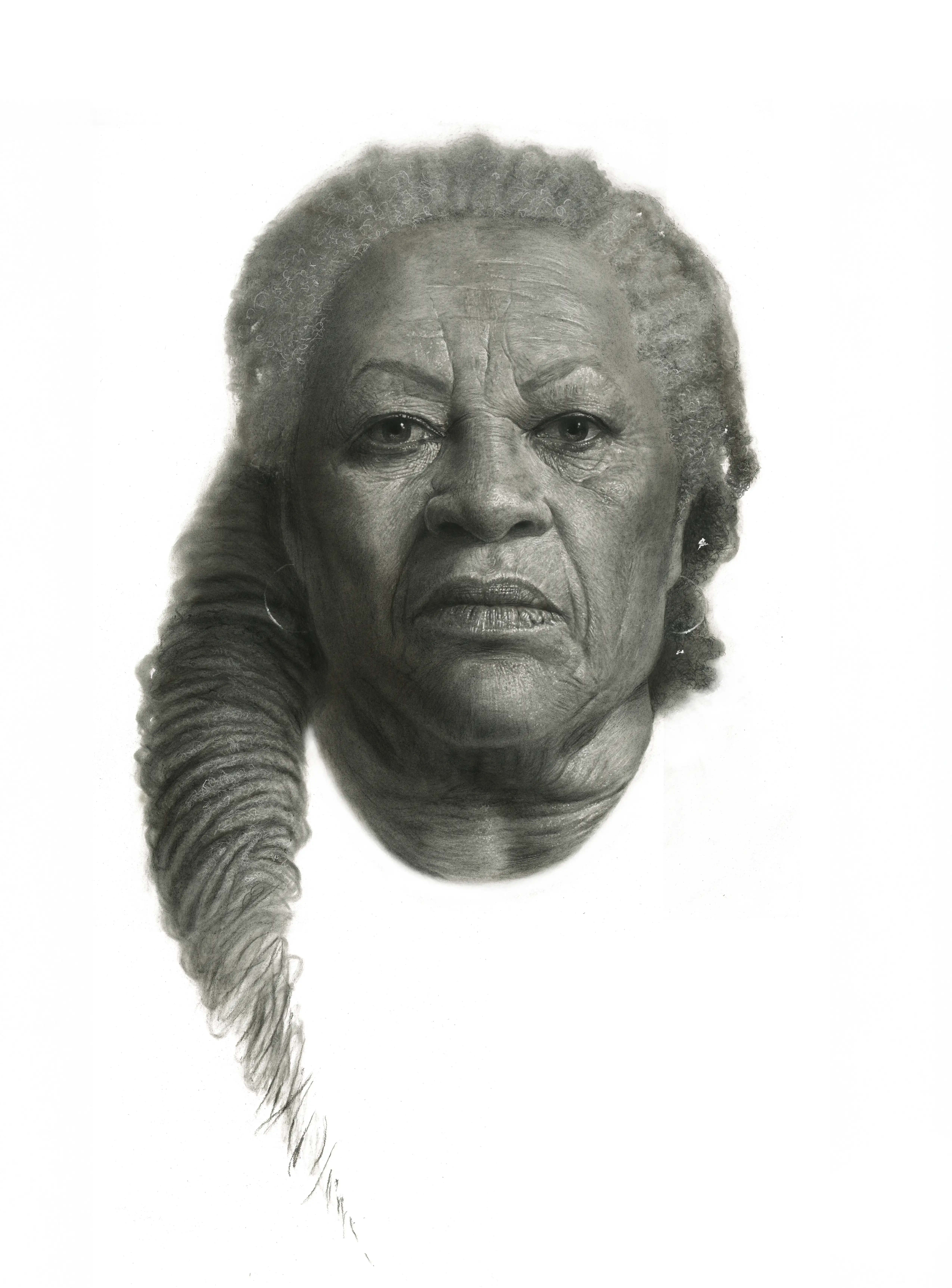 Illustration project by Dale Stephanos