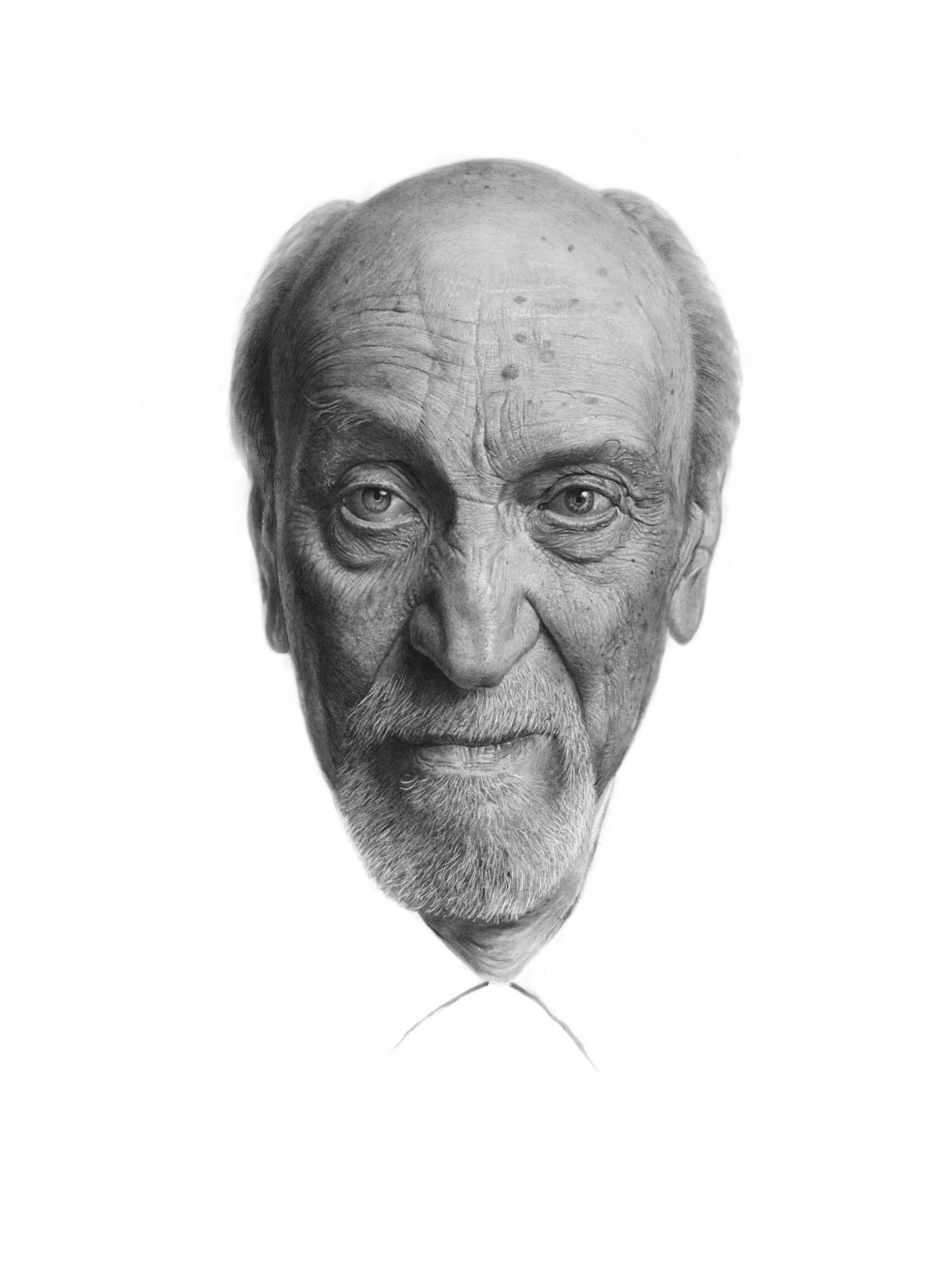 Illustration project by Dale Stephanos