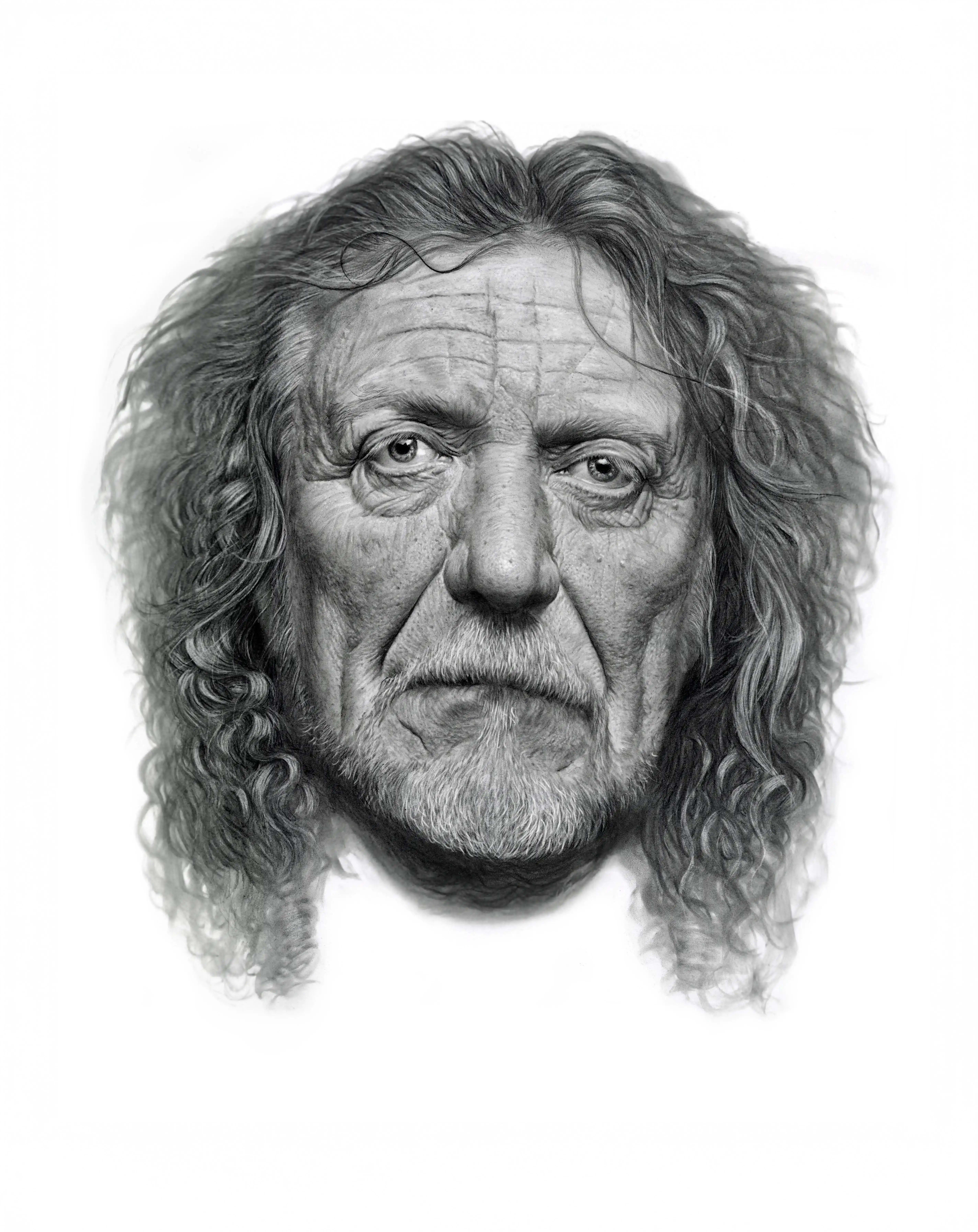 Illustration project by Dale Stephanos