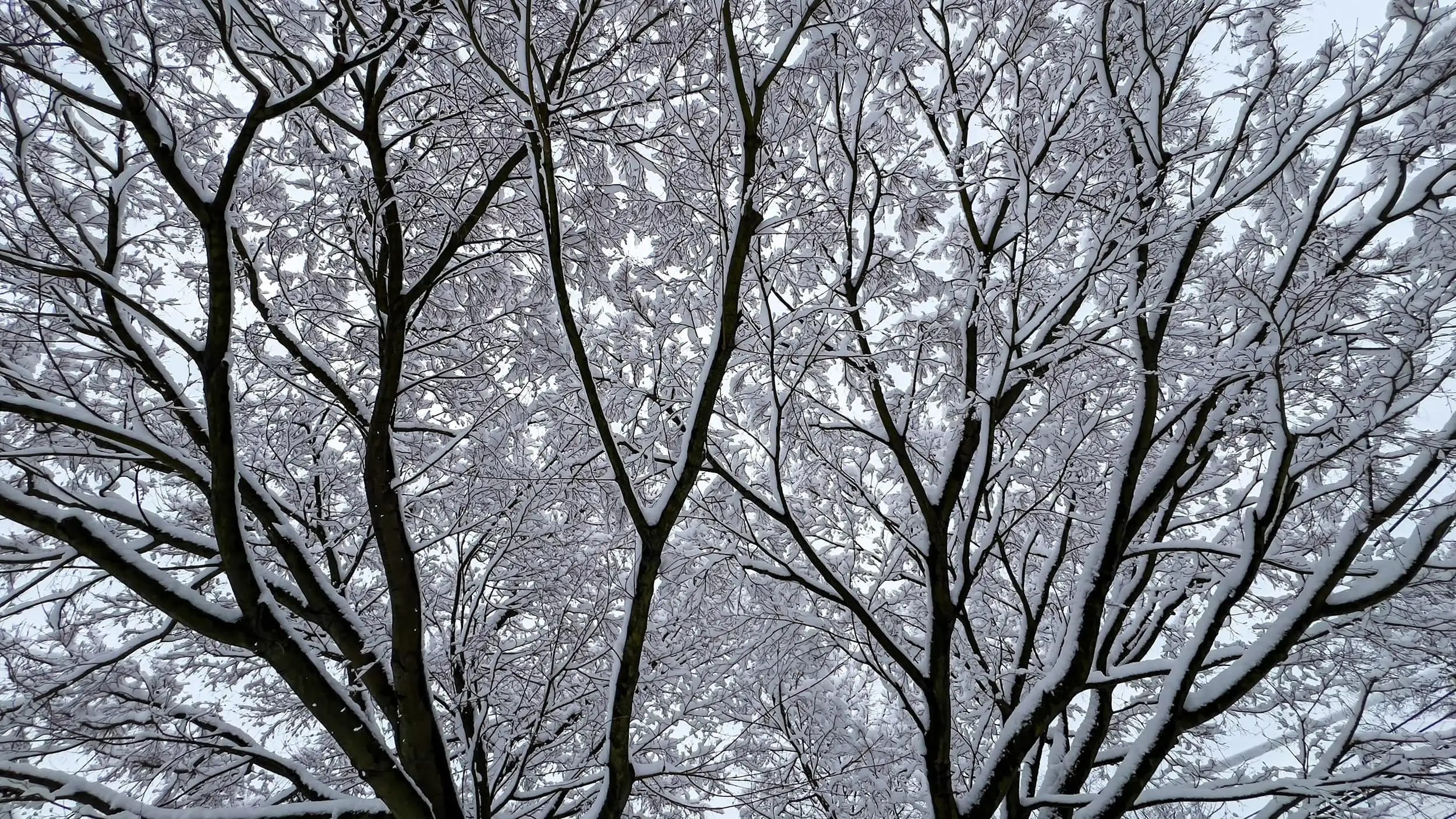 Photography project by Stephen McDowell