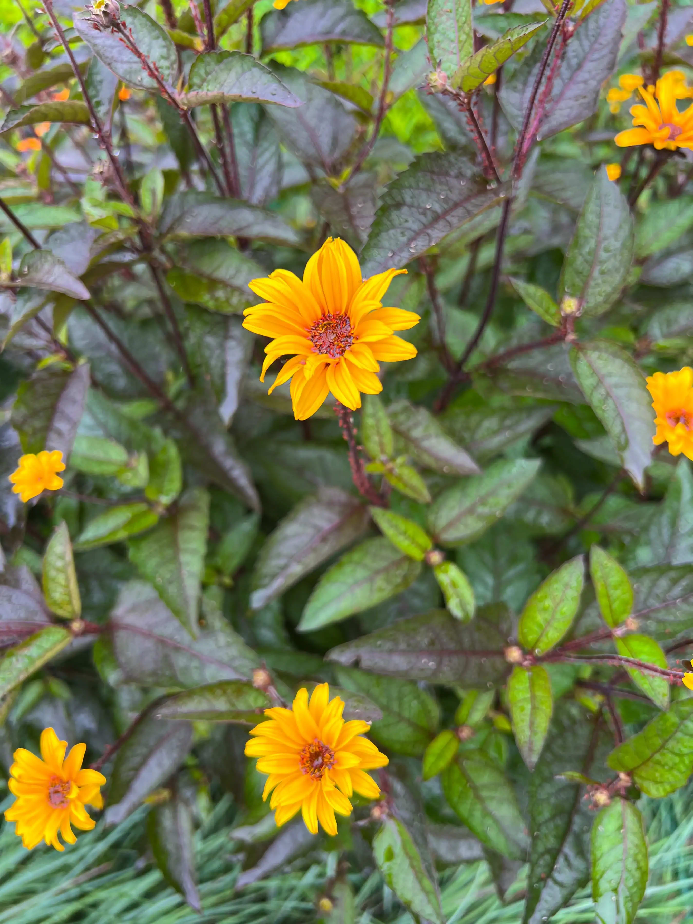 Photography project by Stephen McDowell