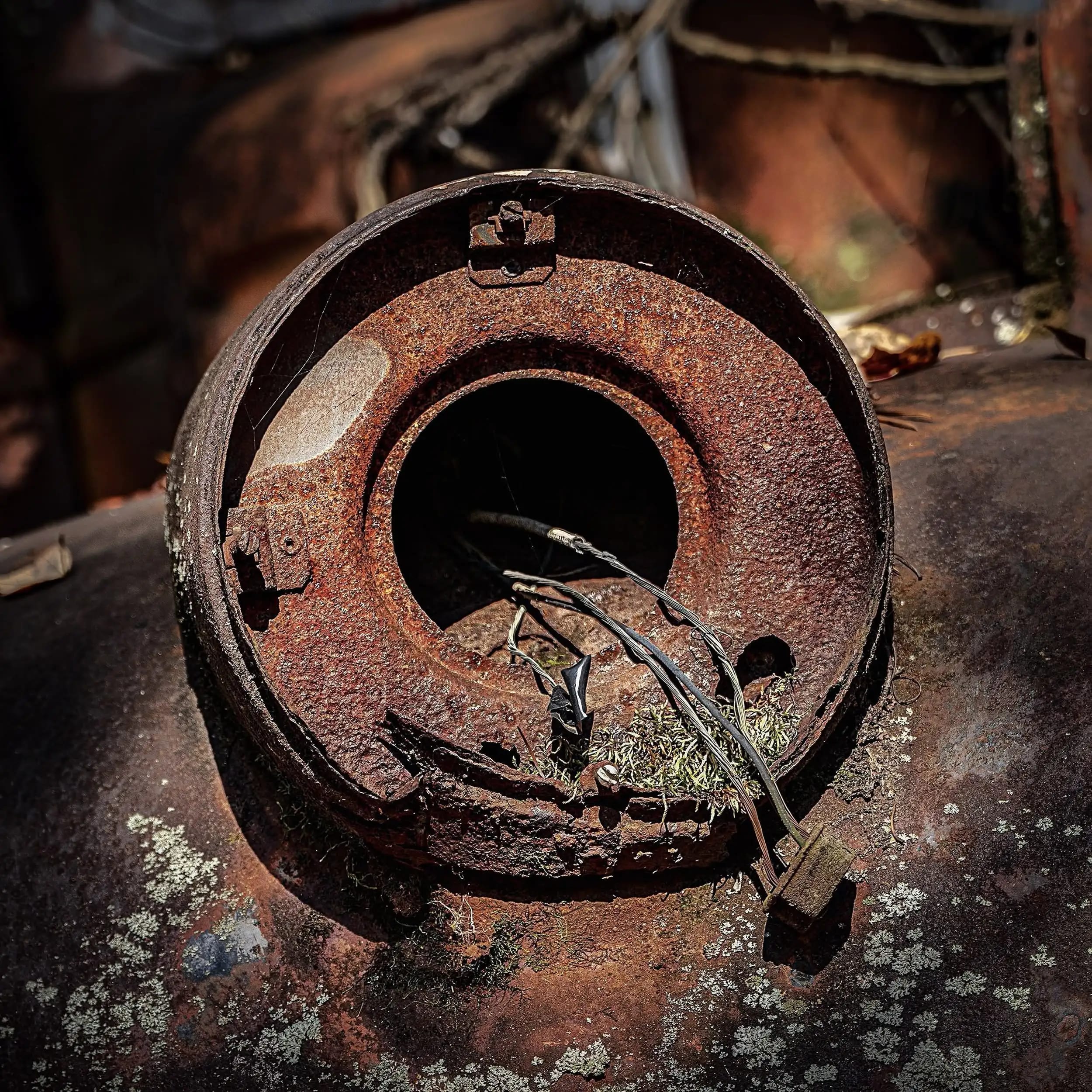 Photography project by Jerry Lofaro