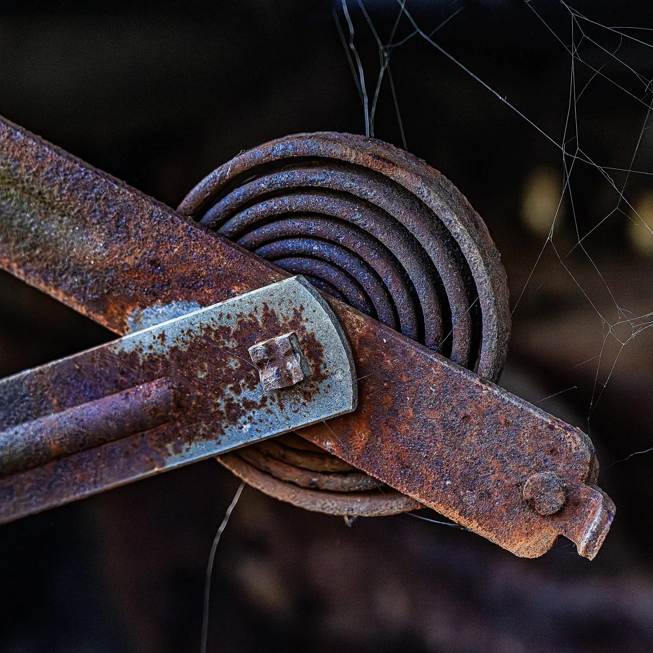 Photography project by Jerry Lofaro