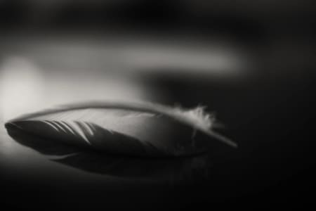 Karin Forde Whittemore