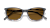 Draper