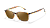 Elliot