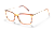 Joel