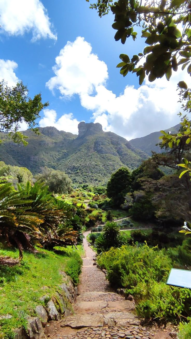 Kirstenbosch Gardens