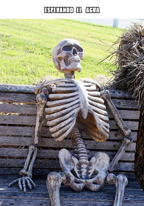 esperando   el    agua