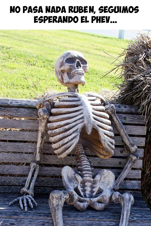 NO PASA NADA RUBÉN, SEGUIMOS ESPERANDO EL PHEV...