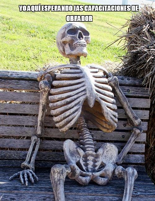 yo aquí esperando las capacitaciones de obrador