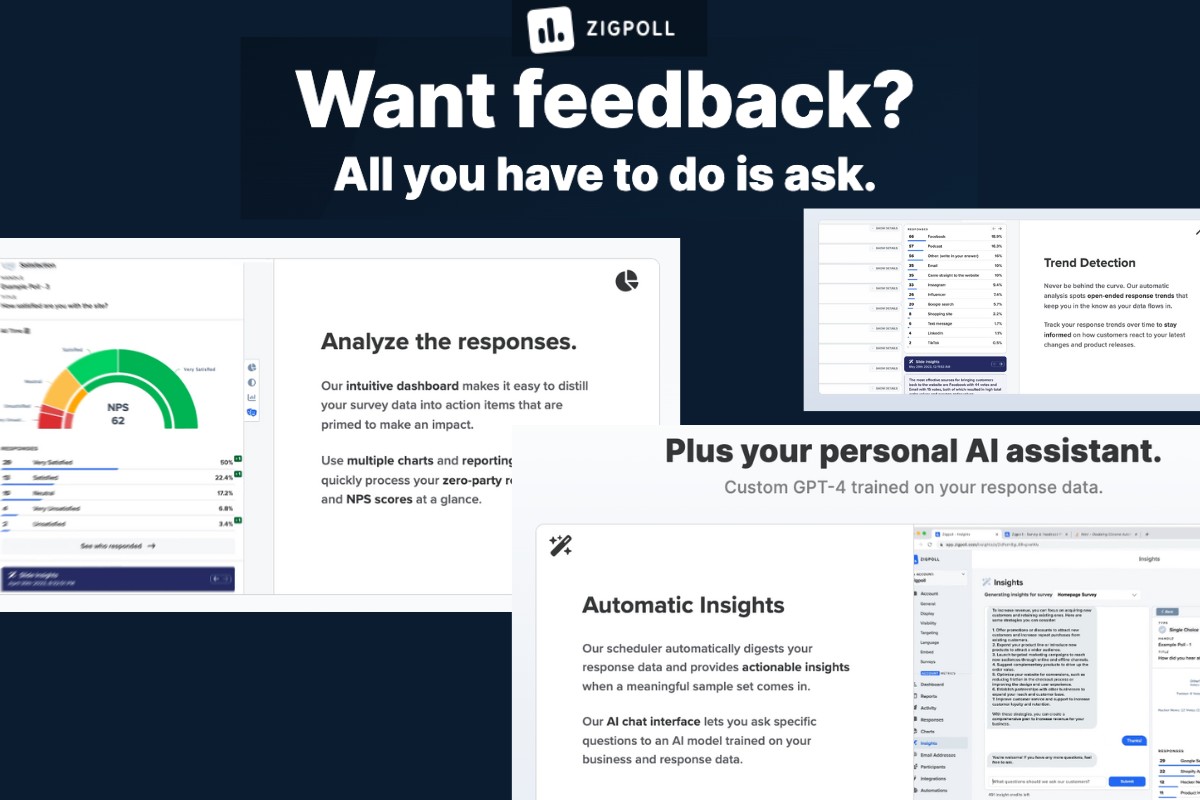 Zigpoll-AI-personal-assistant-for-feedback.jpg
