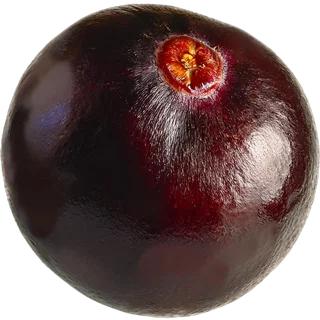Acai Berry