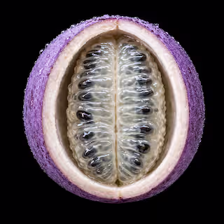 Akebia fruit