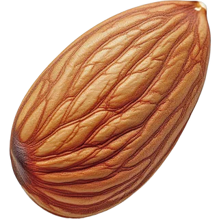 Almond