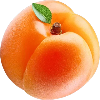 Apricot