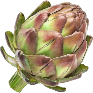 Artichoke