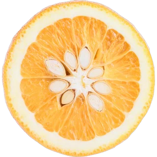Bitter Orange