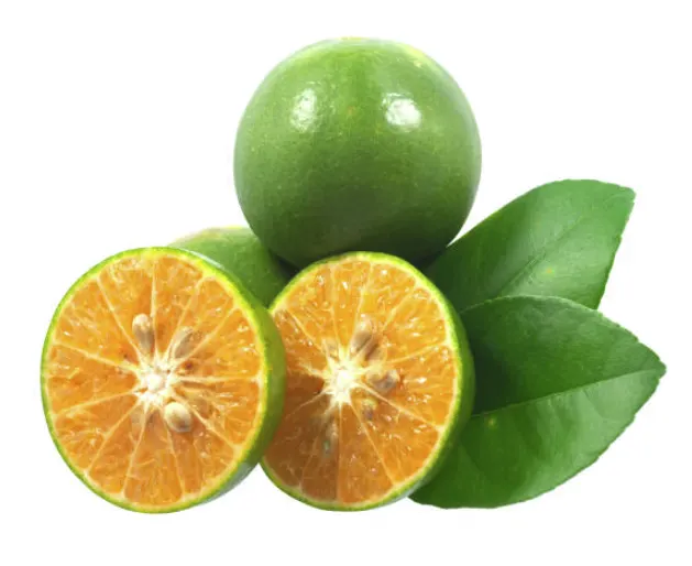 Calamansi