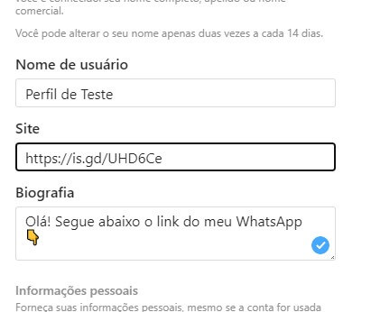 Colocar o link do WhatsApp no campo 