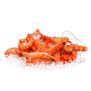 Crevettes cuites de MADAGASCAR Label rouge 40/60 (moyennes)