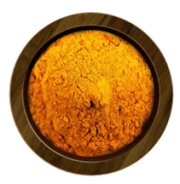 CURCUMA BIO - 5% de Curcumine