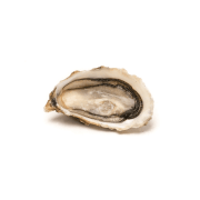 Huîtres fines de Cancale N°3