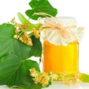 Miel de tilleul (pot Végétal)