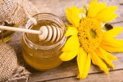 Miel de tournesol (pot verre)