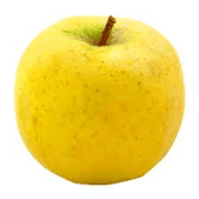 POMMES Chantecler,