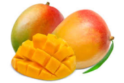 Mangue extra