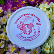 Yaourt brassé aux fruits FRAISE BIO