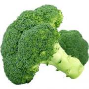 BROCOLI origine France
