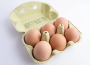 OEUFS BIO x 12