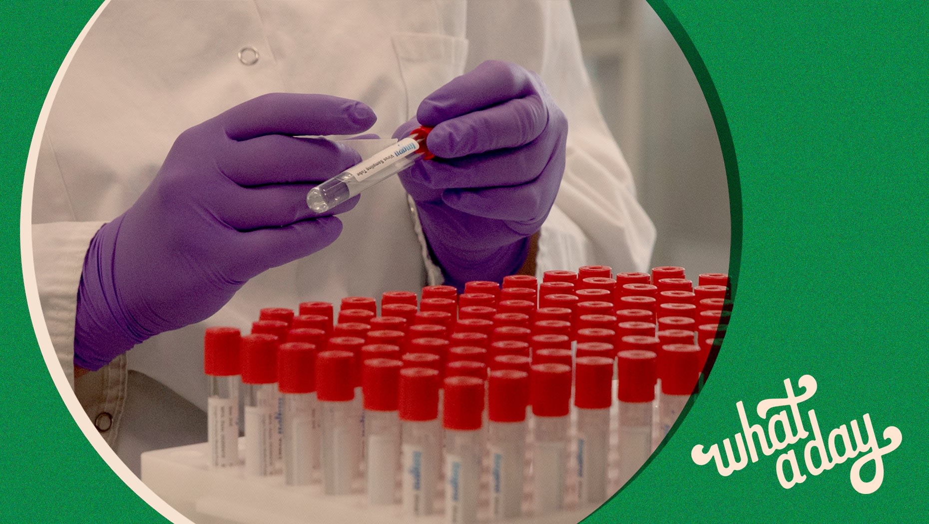 Hack In The USSR | Crooked Media