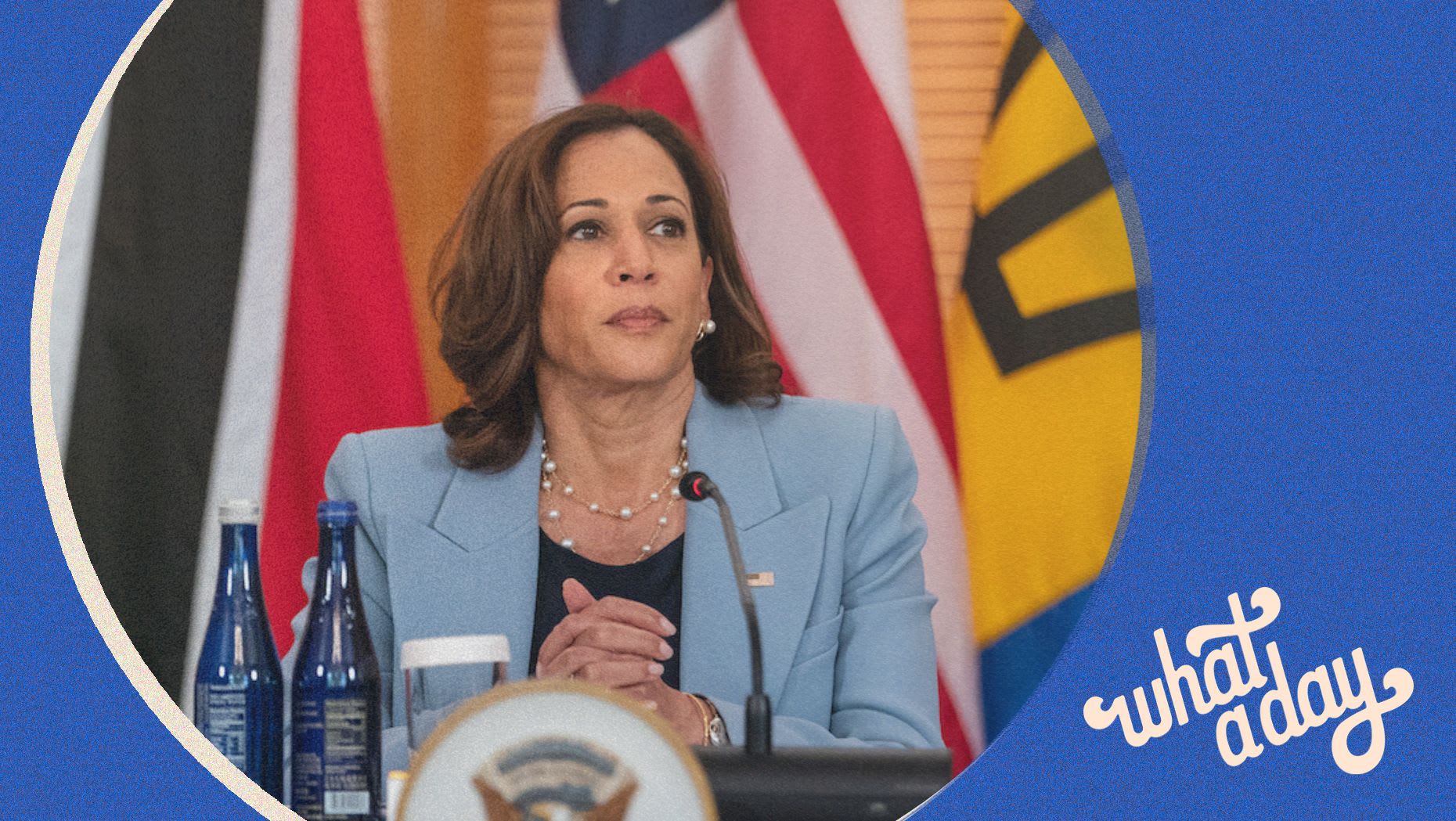 Here #39 s The Best Clue We Have on Kamala Harris #39 Foreign Policy Crooked