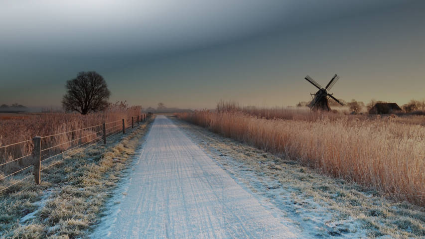 background illustration