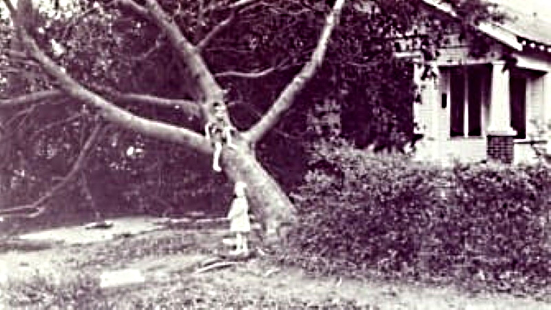 1944-9-29-ClimbingTree