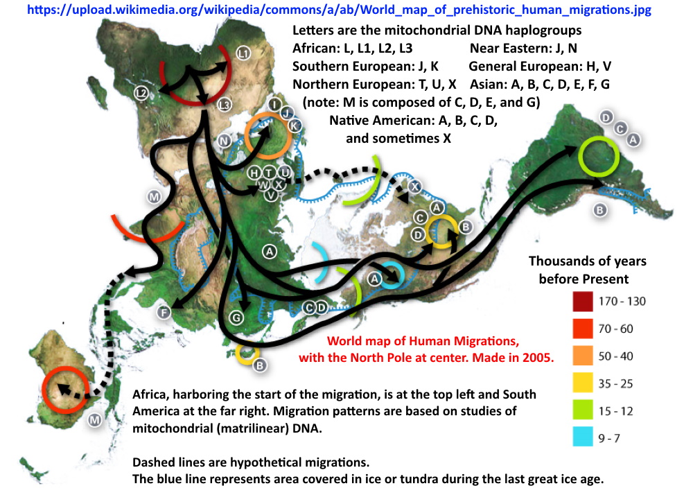 HumanMigration